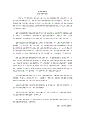 肉牛去角方法集.docx