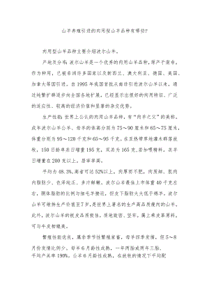 山羊养殖引进的肉用型山羊品种有哪些？.docx