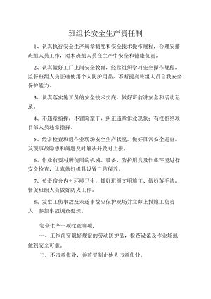 班组长安全生产责任制范文.docx