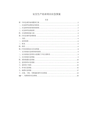 安全生产培训项目应急预案.docx