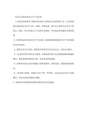 项目安全副经理安全生产责任制模板范本.docx