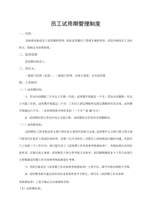 员工试用期管理制度.docx