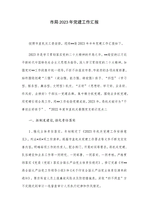 市局2023年党建工作汇报.docx