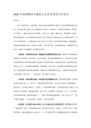 2023年巡察整改专题民主生活会领导点评发言.docx