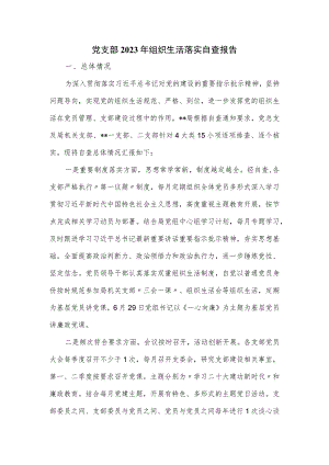 党支部2023年组织生活落实自查报告.docx