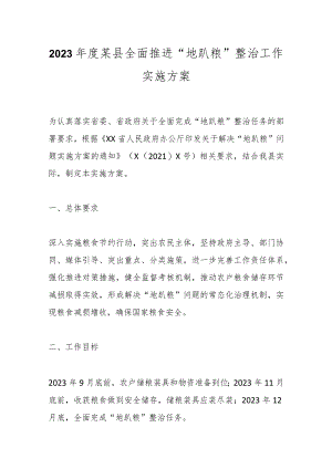 2023年度某县全面推进“地趴粮”整治工作实施方案.docx