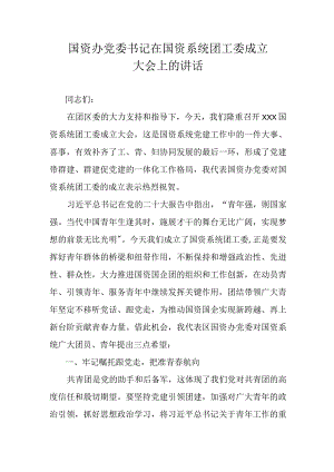 国资办党委书记在国资系统团工委成立大会上的讲话.docx