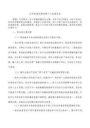 公司检查反馈问题个人检查发言.docx