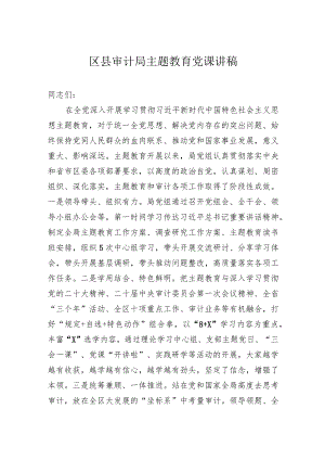 区县审计局主题教育党课讲稿.docx