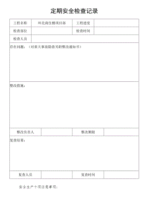 项目定期周检记录模板范文.docx