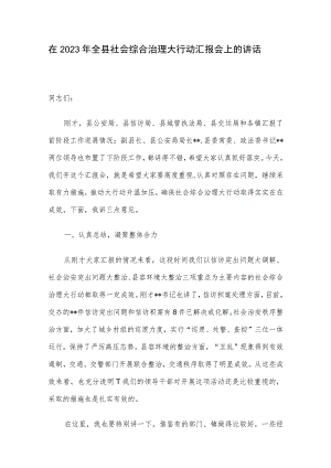 在2023年全县社会综合治理大行动汇报会上的讲话.docx