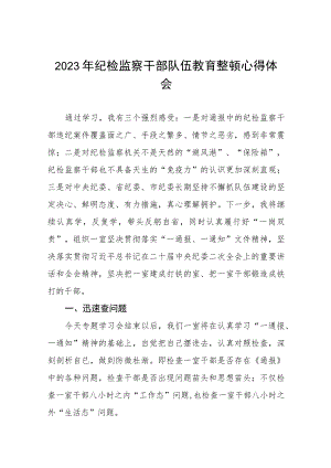 2023年全国纪检监察干部队伍教育整顿活动的心得体会(八篇).docx