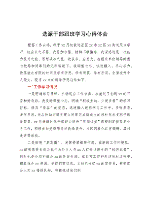 选派干部跟班学习心得体会.docx