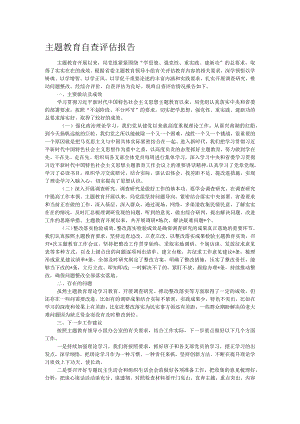主题教育自查评估报告.docx