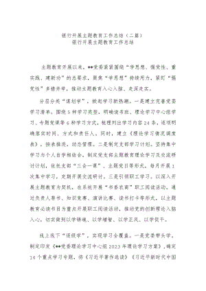 银行开展主题教育工作总结(二篇).docx