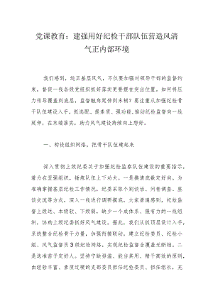 党课教育：建强用好纪检干部队伍营造风清气正内部环境.docx