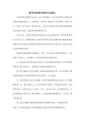 指导培养青年教师计划2篇.docx