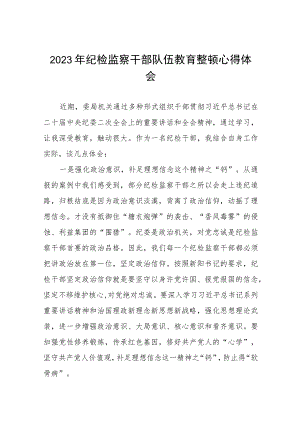 纪检监察干部队伍教育整顿心得体会发言稿范文八篇.docx