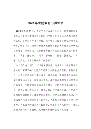 关于2023主题教育的学习体会(五篇).docx