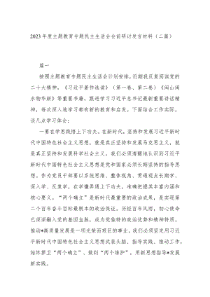 2023年度主题教育专题民主生活会会前研讨发言材料(二篇).docx