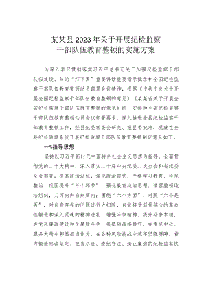 某某县2023年关于开展纪检监察干部队伍教育整顿的实施方案.docx