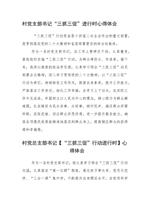 村党支部书记“三抓三促”进行时心得体会(通用三篇).docx