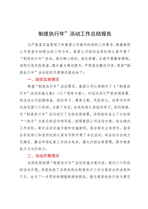 “制度执行年”活动工作总结报告.docx