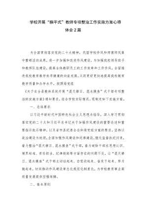 学校开展 “躺平式”教师专项整治工作实施方案心得体会2篇.docx