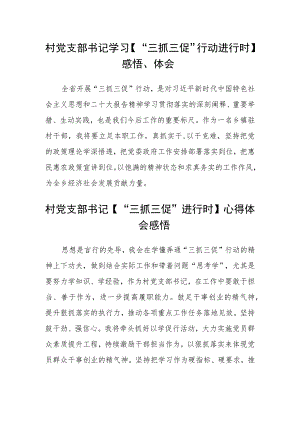 村党支部书记学习【“三抓三促”行动进行时】感悟、体会(通用三篇).docx