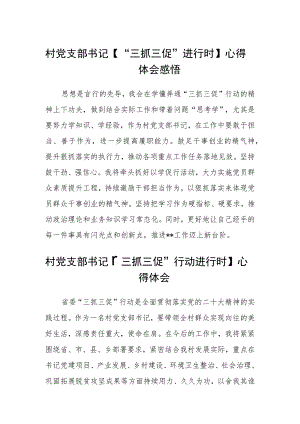 村党支部书记【“三抓三促”进行时】心得体会感悟范文(通用三篇).docx