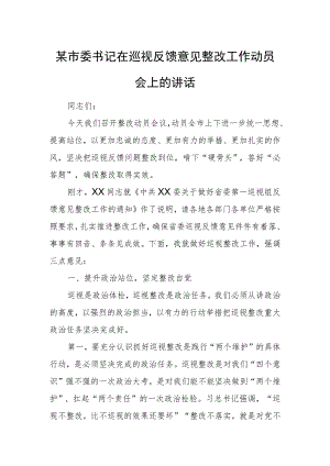 某市委书记在巡视反馈意见整改工作动员会上的讲话.docx