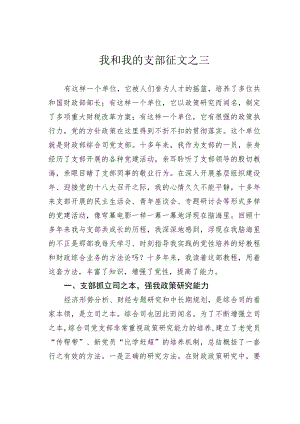 我和我的支部征文之三.docx
