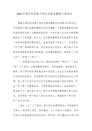2023年度纪检监察干部队伍教育整顿心得体会.docx