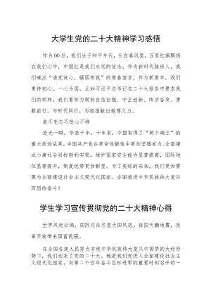 大学生党的二十大精神学习感悟合集(通用三篇).docx