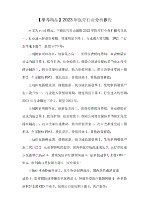 【推荐精品】2023年医疗行业分析报告.docx