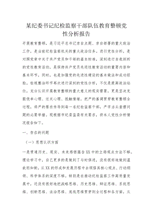 某纪委书记纪检监察干部队伍教育整顿党性分析报告.docx