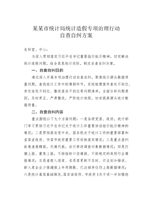某某市统计局统计造假专项治理行动自查自纠方案.docx