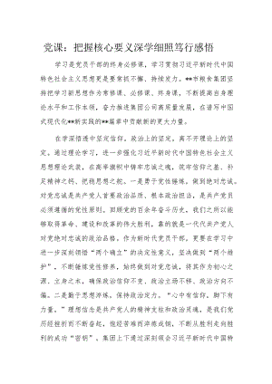 党课：把握核心要义深学细照笃行感悟.docx