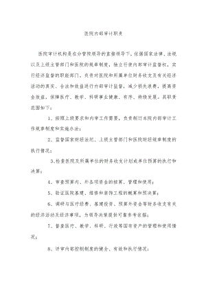医院内部审计职责.docx