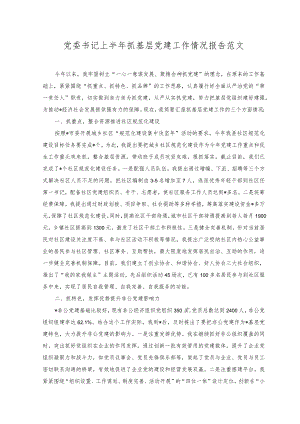 （2篇）党委书记上半年抓基层党建工作情况报告+2023年上半年党支部工作开展情况总结范文.docx