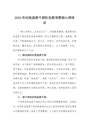 2023全国纪检监察干部队伍教育整顿教育活动的心得体会十一篇.docx