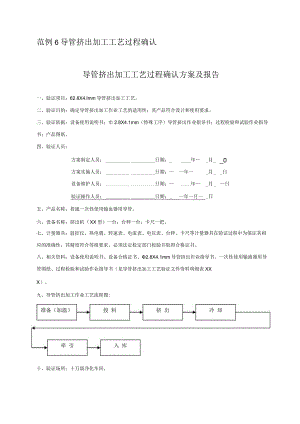 导管挤出加工工艺过程确认.docx