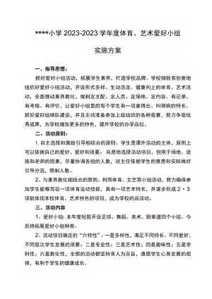 XX小学2023-2024学年度体育、艺术兴趣小组实施方案.docx