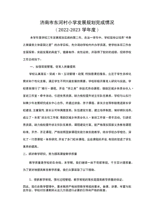济南市东河村小学发展规划完成情况.docx