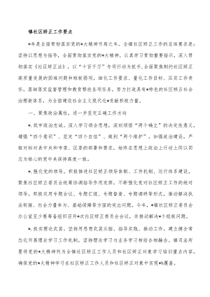 镇社区矫正工作要点.docx