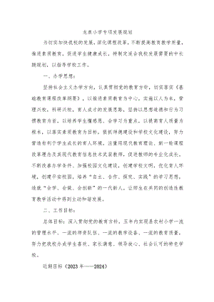 龙泉小学专项发展规划.docx