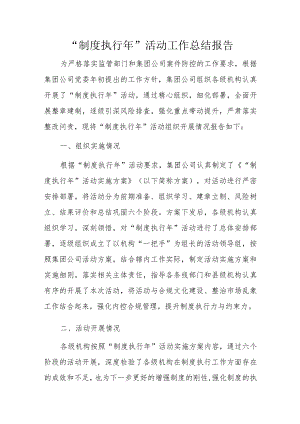 “制度执行年”活动工作总结报告.docx