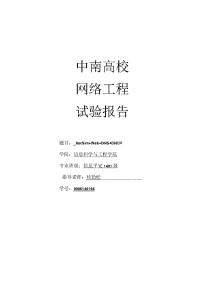中南大学网络工程实验报告.docx
