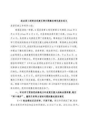 政法委三级联动巡察反馈问题整改报告工作汇报总结.docx