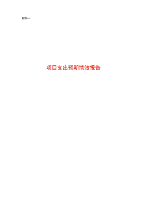 项目支出预期绩效报告模板.docx